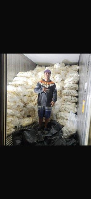 Premium Frozen Cassava Root - Image 3